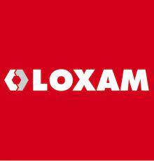 ACTIVITE LOCATION  MATERIEL BTP France LOXAM